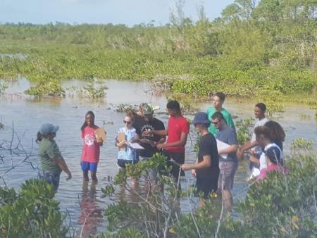 2018-2019 - Grade 12 Field Trip to the Mangroves